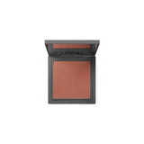 Powder Blush – 113 Dust Terracotta