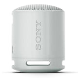 SONY SRSXB100H.CE7