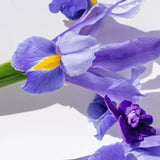 Women's Collection Charming Violet Тоалетна вода
