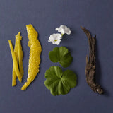 Глечер Тоалетна вода