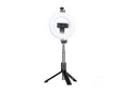 Прстенесто светло XO SS12 LED /w 95cm мини статив