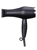 JRL Forte Pro Feather Hair Dryer