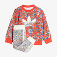 adidas Тренерка Liberty Crew Set