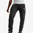 Puma Evostripe