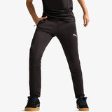 Puma Evostripe