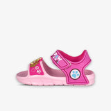BDS PAW PATROL