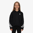 adidas Future Icons
