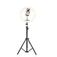 Ring Light Denver LED w/210cm Tripod