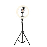 Ring Light Denver LED w/210cm Tripod