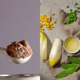 Wellosophy Сет за здраво одржување на времето