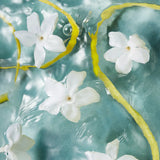 Nordic Waters Eau de Parfum for her