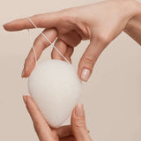 Коњак сунѓер во форма на капка