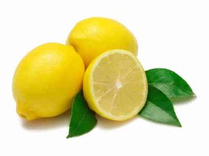 0003997_limon-kg-r