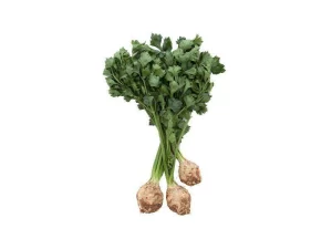 0008604_celery-piece